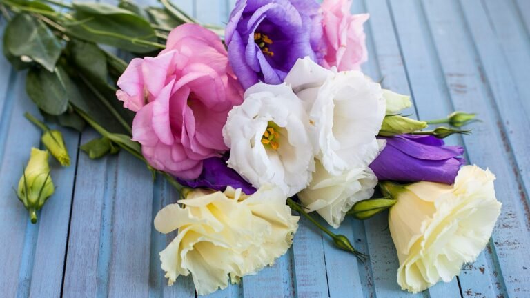 Send Quality Flowers