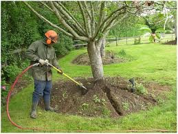 Southern Tree and Lawn Care
