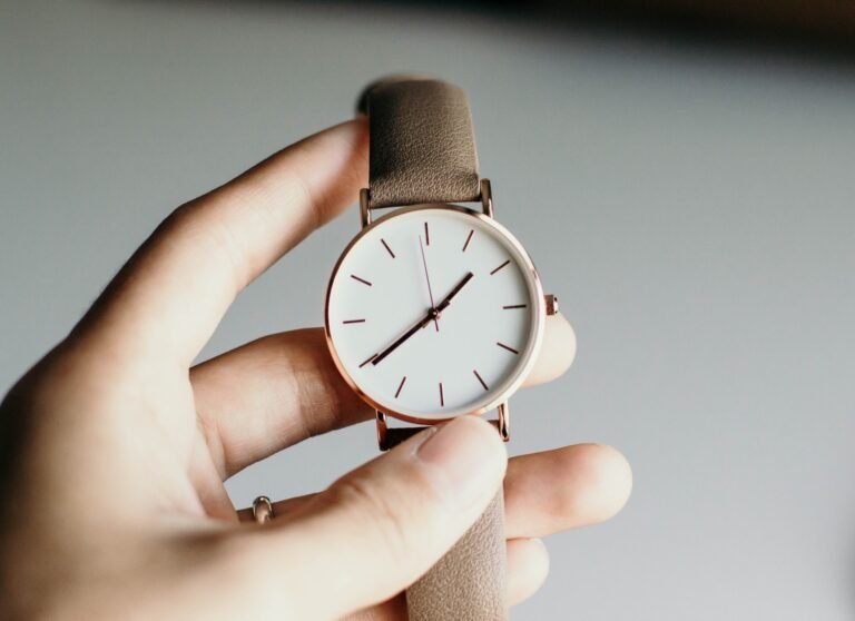 Hamilton Ventura Watch
