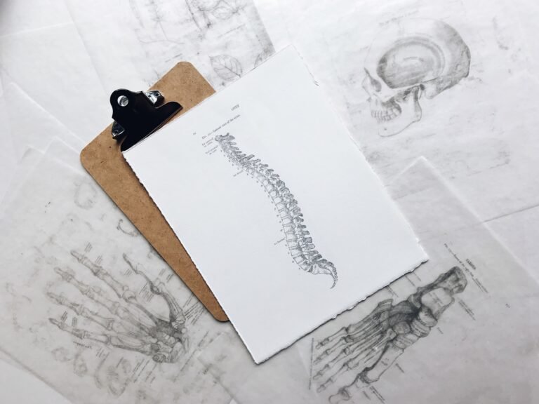 Developmental and Gross Anatomy