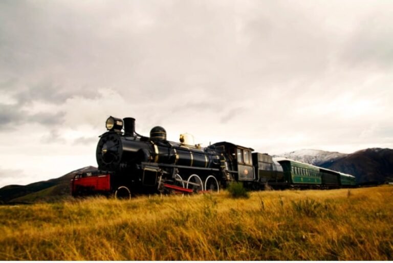 How to Change Colour of Train in Game?
