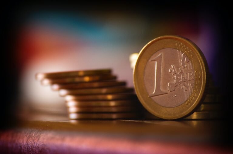 4 Facts to Know About the Zulu Coin