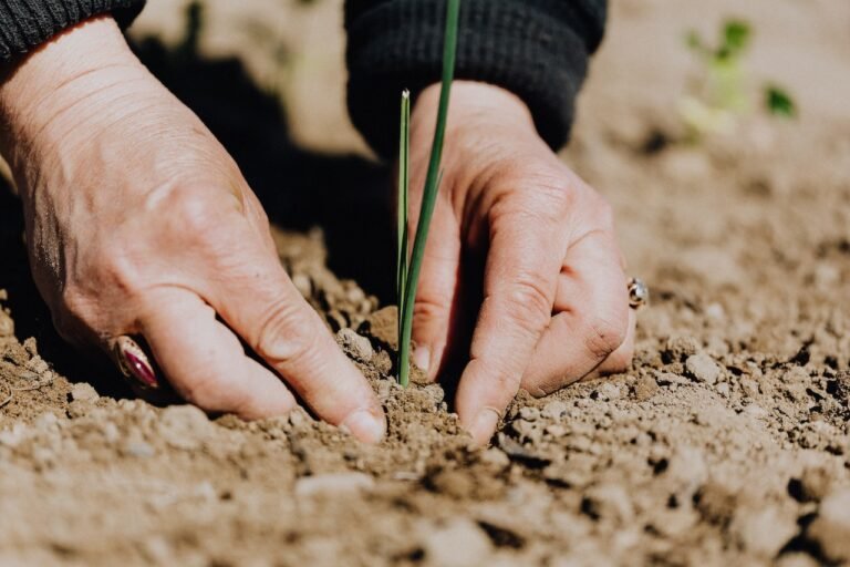 How can you live a greener lifestyle?