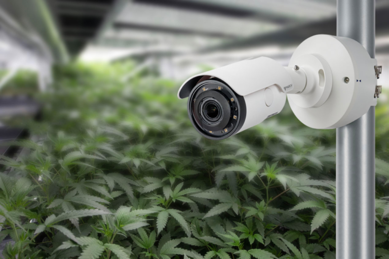 Live Video Surveillance