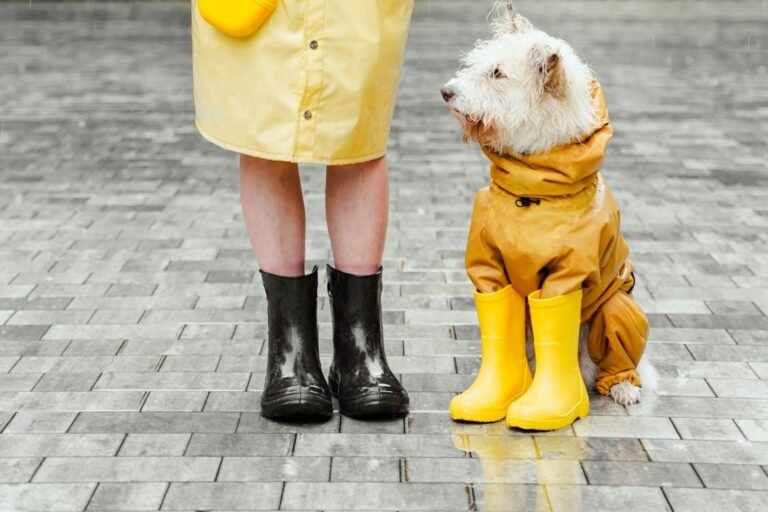 Dog Jacket