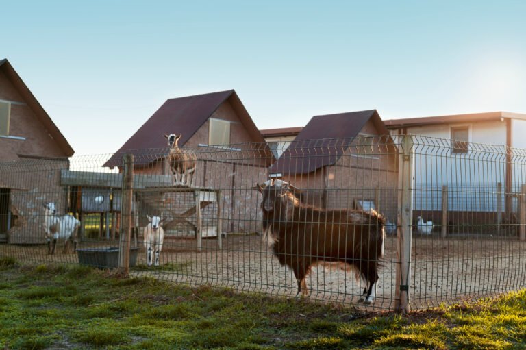 Animal Fencing