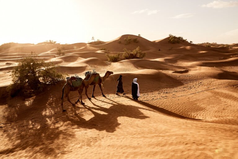 Desert